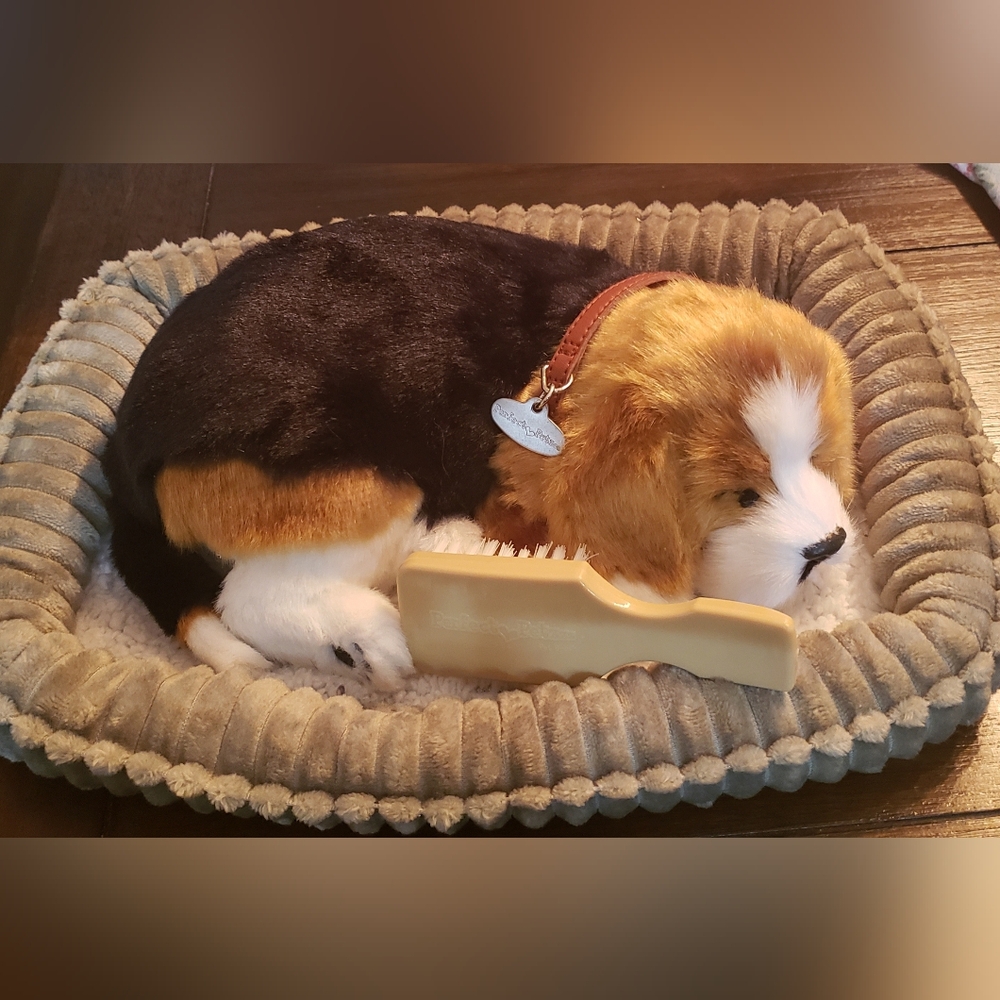 Perfect Petzzz Beagle